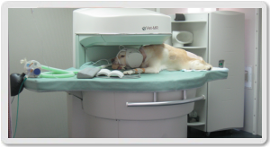 Ressonância Magnética