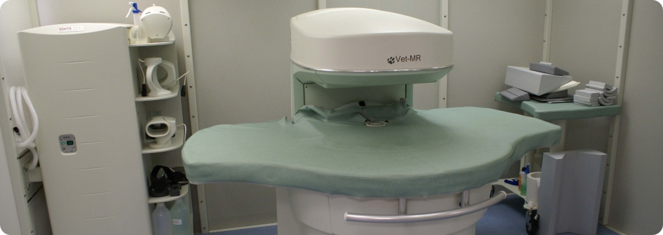 Ressonância Magnética