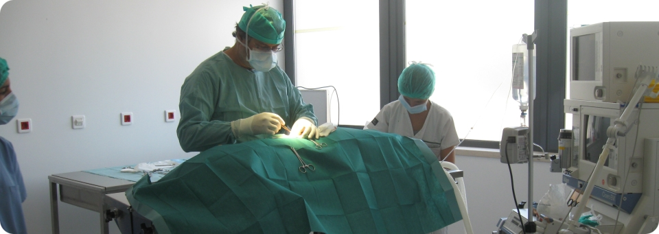 Neurologia e Neurocirurgia