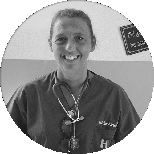 Dr.ª Ângela Martins